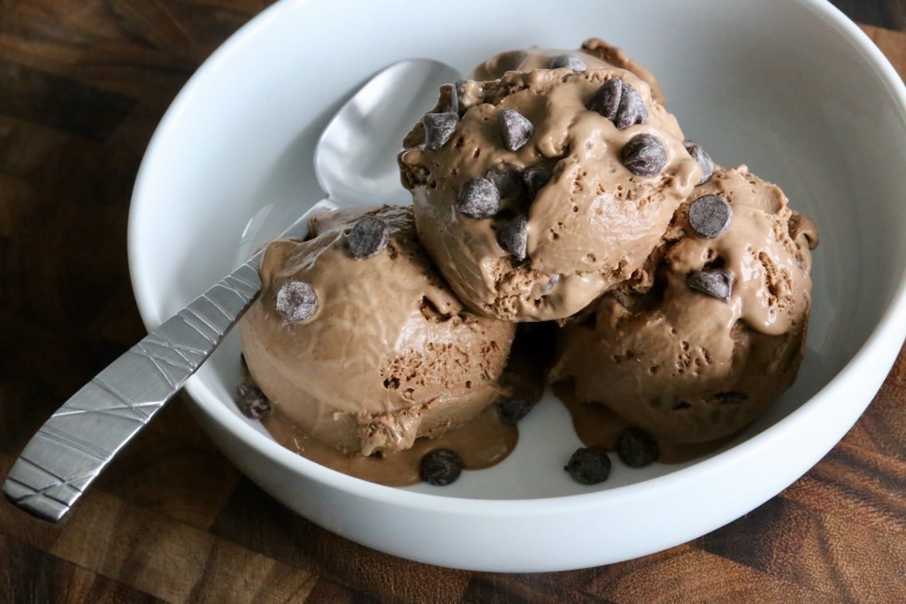 Choco Chipmunk Ice Cream